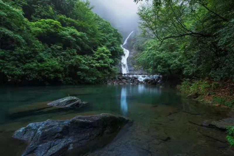 战锤：全面战争2